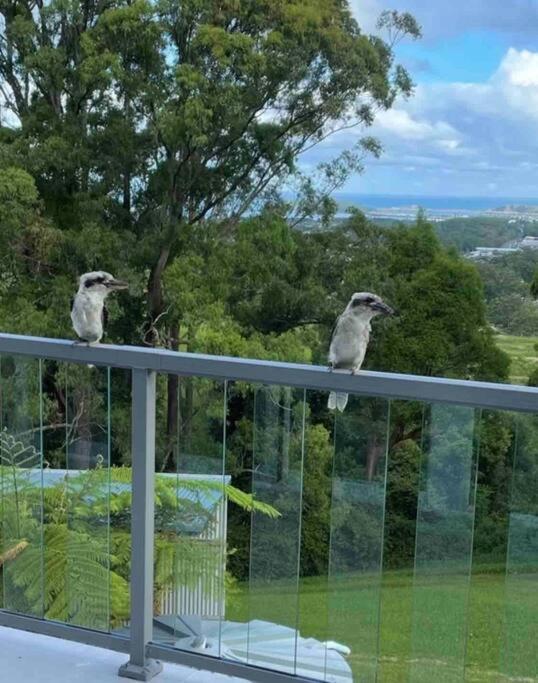 Ocean View Oasis, Coffs Harbour Apartment Luaran gambar